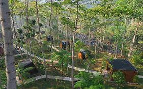 Bobocabin The Tavia, Puncak